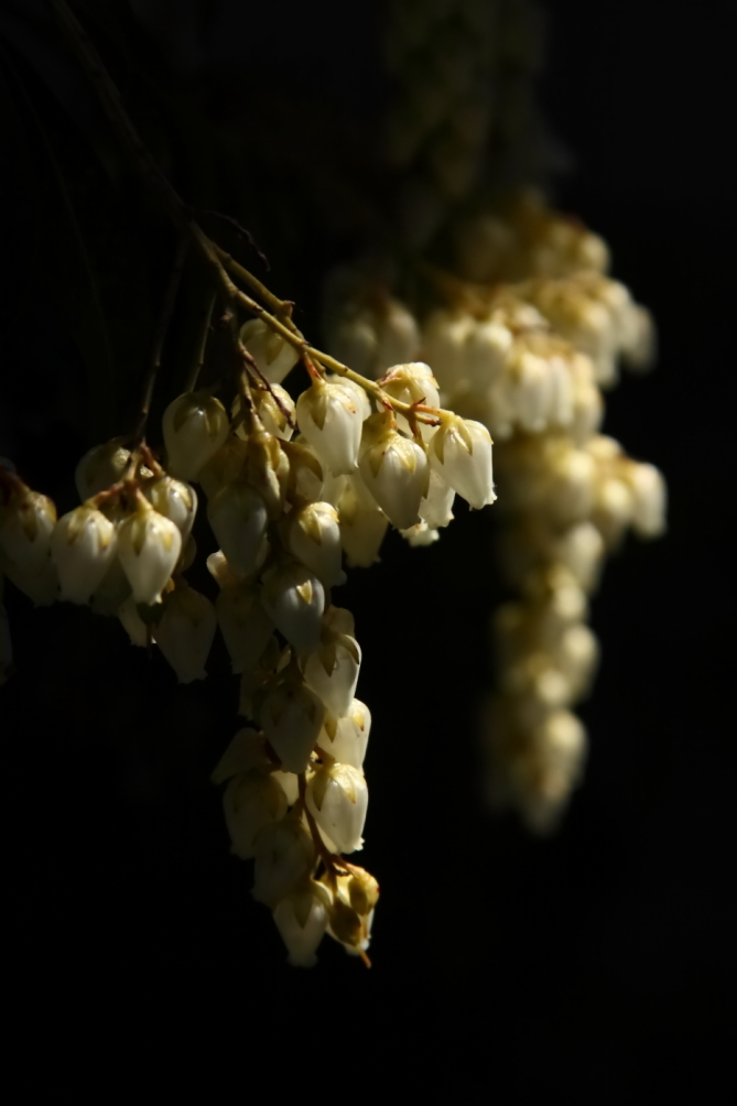 2012 04 05 9999 2